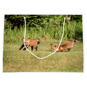 Sacola Para Presentes Grande Kits de Raposa Vermelha Reproduzindo