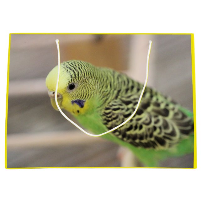 Sacola Para Presentes Grande Kiwi (Frente)