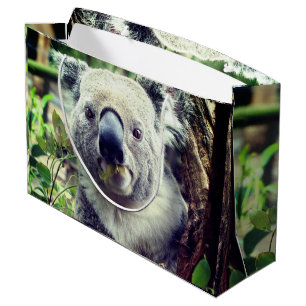 Sacola Para Presentes Grande Koala Bears
