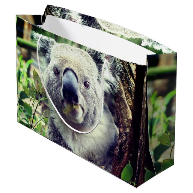 Sacola Para Presentes Grande Koala Bears (Verso inclinado)
