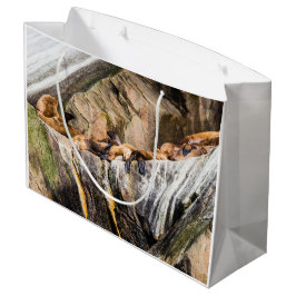 Sacola Para Presentes Grande Leões Do Mar Deitados Nas Rochas