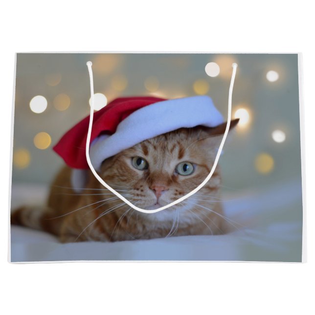 Sacola Para Presentes Grande Luzes de gato e natal (Frente)