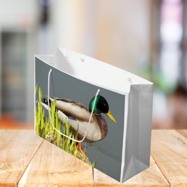 Sacola Para Presentes Grande Mallard Duck Wildlife Photo (In Situ)