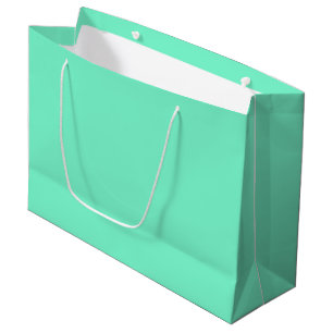 Sacola Para Presentes Grande Mint aquamarina sólida
