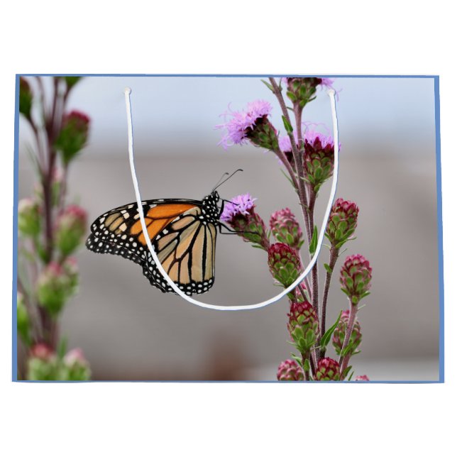 Sacola Para Presentes Grande Monarca (Frente)