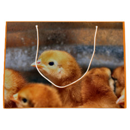 Sacola Para Presentes Grande Olhar