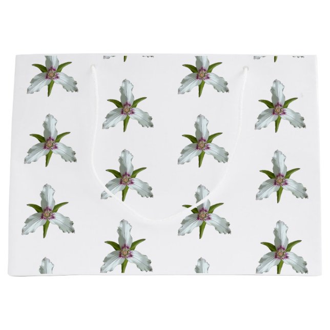 Sacola Para Presentes Grande Padrão de flor selvagem de Primavera de trilium pi (Frente)