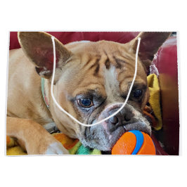 Sacola Para Presentes Grande Parabéns Brindle Bostyon Terrier