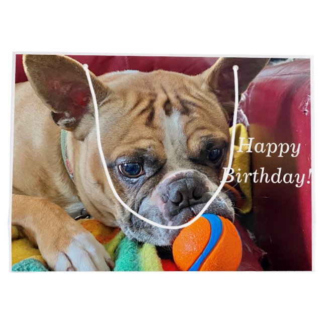 Sacola Para Presentes Grande Parabéns Brindle Bostyon Terrier (Verso)