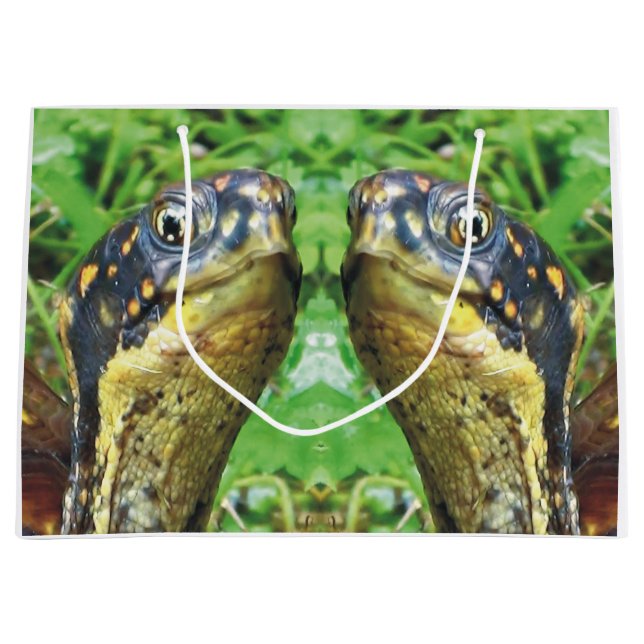 Sacola Para Presentes Grande Pares de saco do presente dos amigos da tartaruga (Frente)