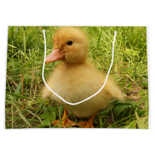 Sacola Para Presentes Grande pássaro, pato, pato, amarelo, natureza, fofo, bebê