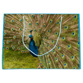 Sacola Para Presentes Grande Peacock com seu belo Saco de Presente de Pena