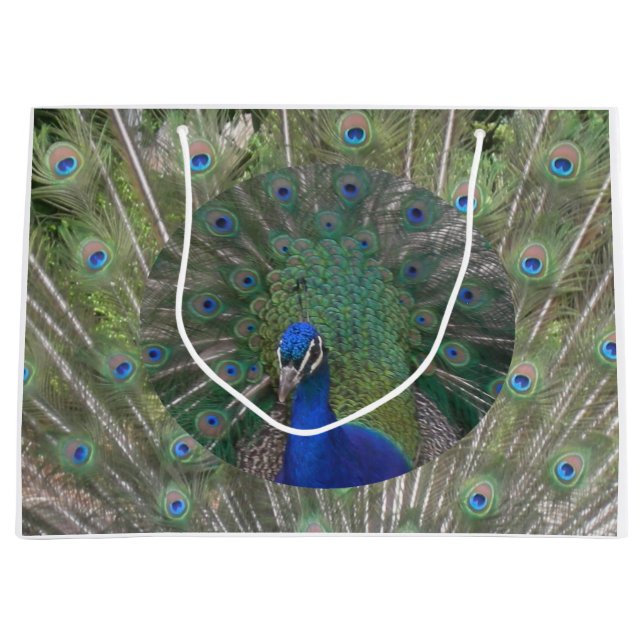 Sacola Para Presentes Grande Peacock Gift Bag (Frente)