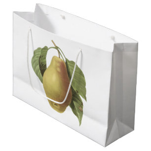 Sacola Para Presentes Grande pera (sp do Pyrus.) por Redouté
