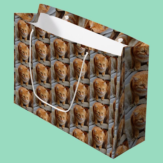 Sacola Para Presentes Grande Personalizar Foto de Cachorro Pet Cat Personalizar (Criador carregado)