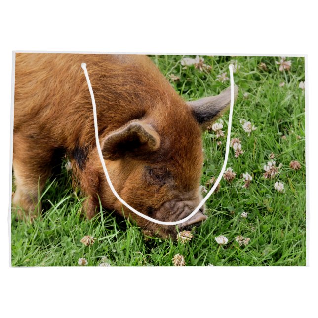 SACOLA PARA PRESENTES GRANDE PIG CUTO (Verso)