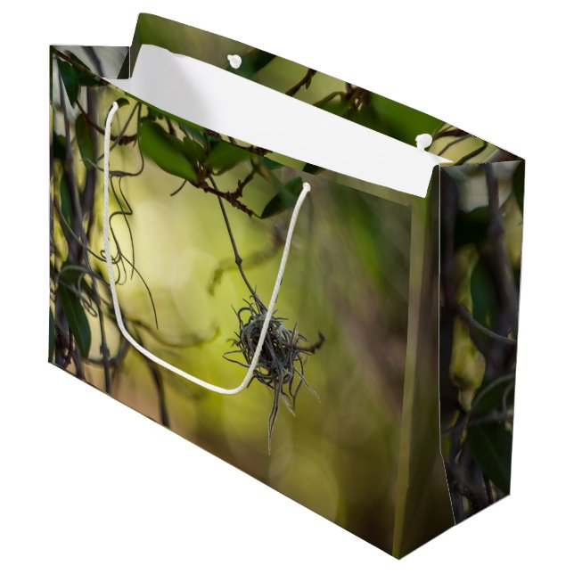 Sacola Para Presentes Grande Planta estranha (Frente inclinada)