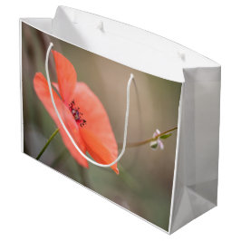 Sacola Para Presentes Grande Poppy Nature Photo