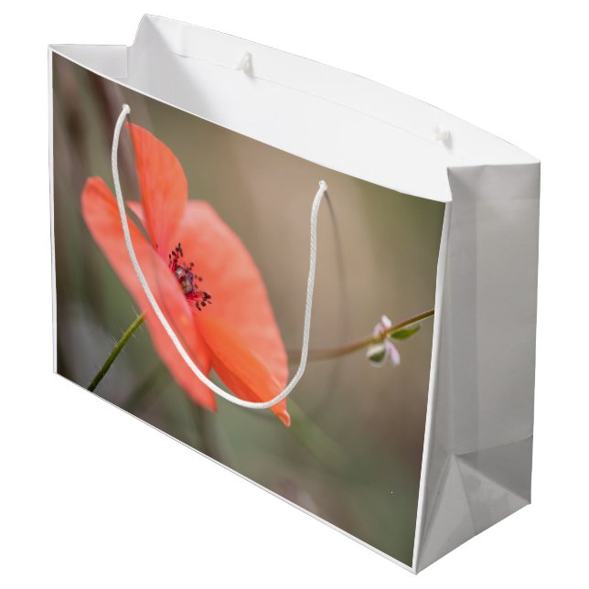 Sacola Para Presentes Grande Poppy Nature Photo (Verso inclinado)