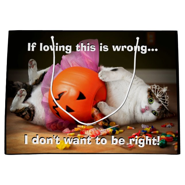 Sacola Para Presentes Grande Princesa Gato Com Balde (Frente)