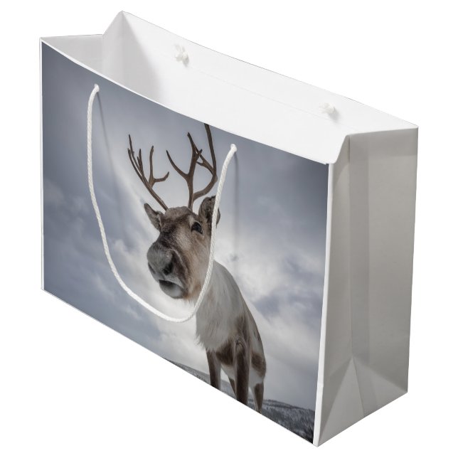 Sacola Para Presentes Grande Reindeer Nature Photo (Frente inclinada)