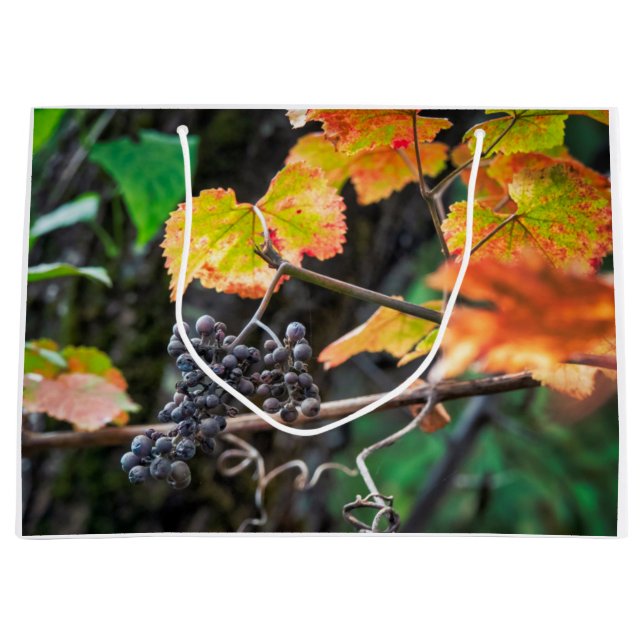 Sacola Para Presentes Grande Ripe Isabella uva (Frente)