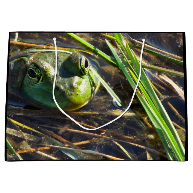 Sacola Para Presentes Grande Sapo Gift Bag (Frente)