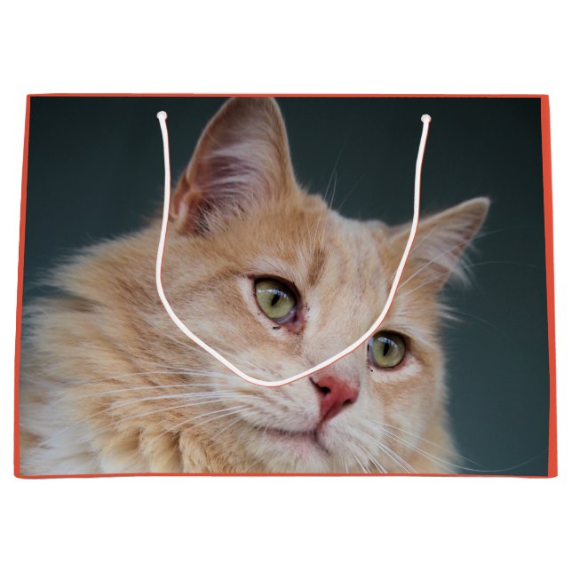 Sacola Para Presentes Grande Sr. Bonitão (Frente)