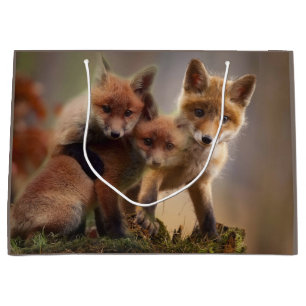 Sacola Para Presentes Grande Tripletes Foxy