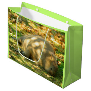 Sacola Para Presentes Grande Uma bela Capybara Sonha no Sol de Verão