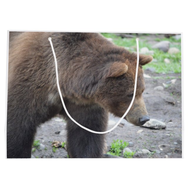 Sacola Para Presentes Grande Urso de urso (Verso)