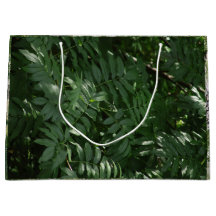 Verde No Yellowstone