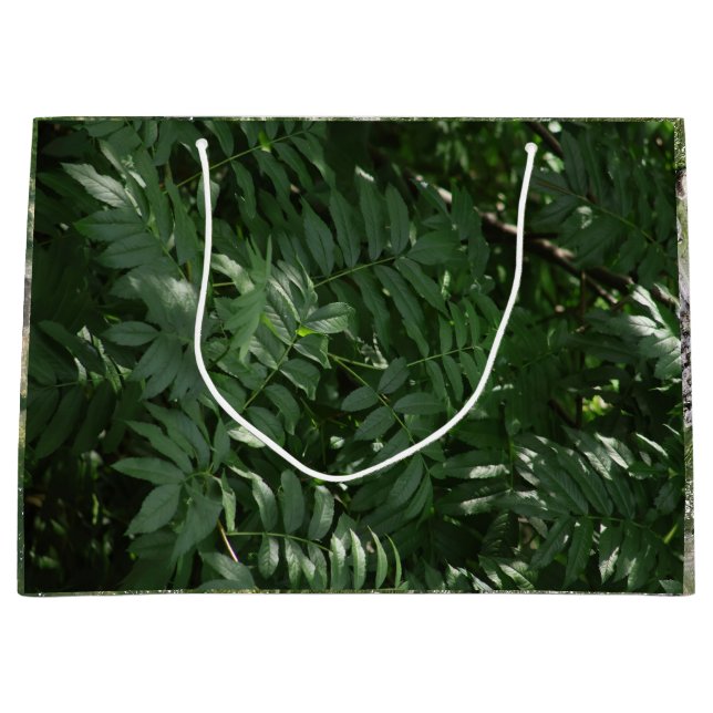 Sacola Para Presentes Grande Verde No Yellowstone (Frente)