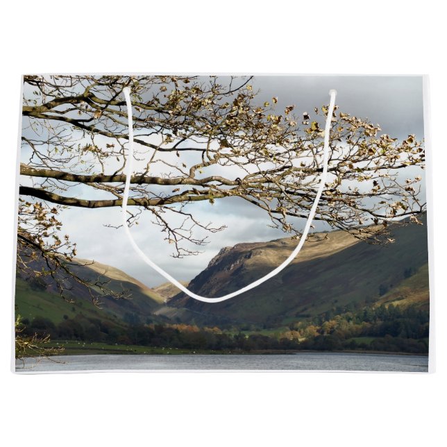 SACOLA PARA PRESENTES GRANDE VISÕES DAS PAREDES (Frente)