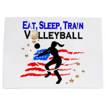 VIVENDO MEU SONHO DE VOLLEYBALL DESIGN
