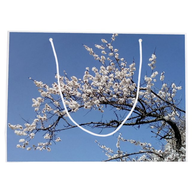 Sacola Para Presentes Grande Zweig der Kirschblüte (Verso)