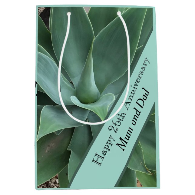 Sacola Para Presentes Média 26º aniversário de casamento Jade (Frente)