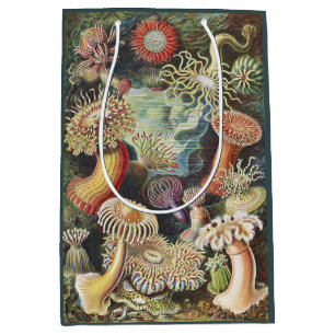 Sacola Para Presentes Média Anêmonas-do-mar de Haeckel Colagem de arte náutica