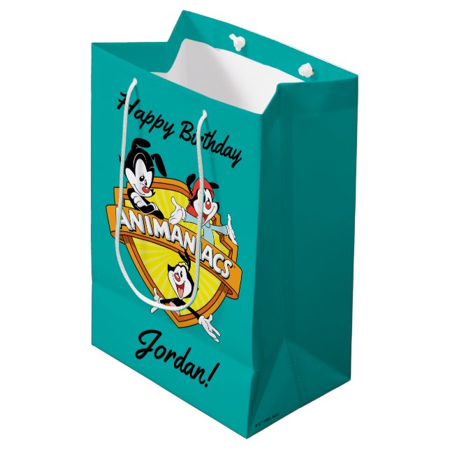 Sacola Para Presentes Média Animaniacs | Warner Brothers & Sister WB Shield (Frente inclinada)