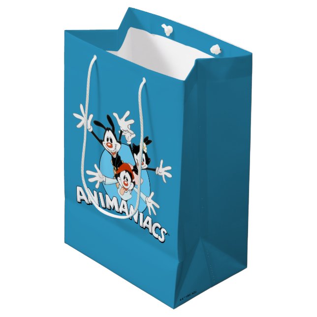 Sacola Para Presentes Média Animaniacs | Warner Siblings Wide Arms Graphic (Frente inclinada)