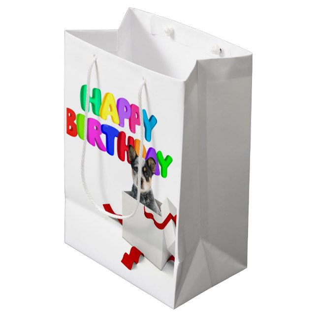 Sacola Para Presentes Média Aniversário (Frente inclinada)