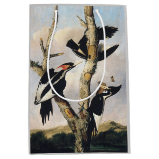 Sacola Para Presentes Média Arte Vintage do Pica-Pau-de-Bico-Ivory de Audubon