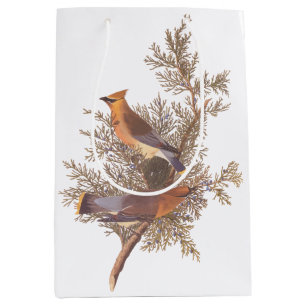 Sacola Para Presentes Média Audubon Cedar Waxwing Songbird em Juniper