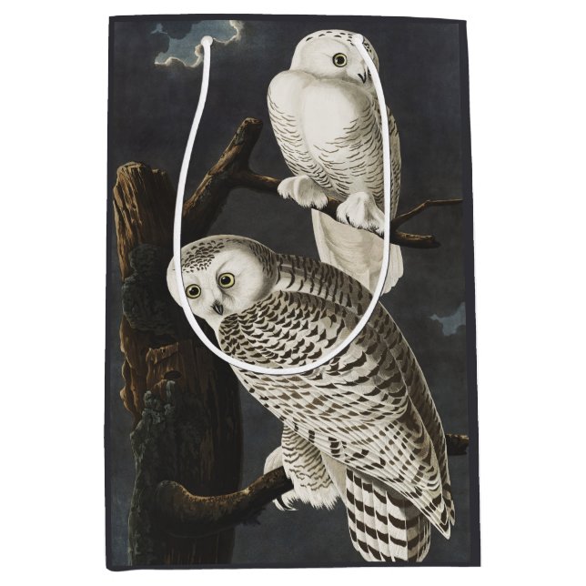 Sacola Para Presentes Média Audubon Snowy Owl Bird Artwork (Frente)