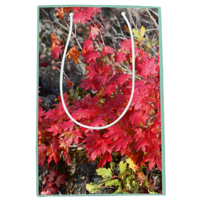 Sacola Para Presentes Média Autumn Deixa o Gift Bag (Frente)