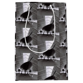 Sacola Para Presentes Média Avião 2