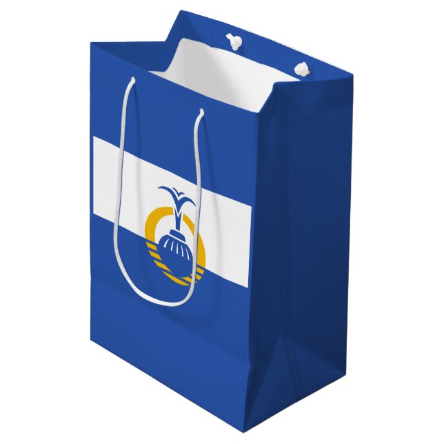 Sacola Para Presentes Média Bandeira de Orlando, Flórida (Frente inclinada)