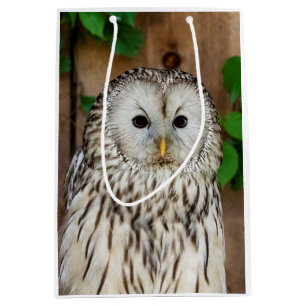 Sacola Para Presentes Média Barred Owl