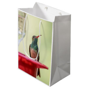 Sacola Para Presentes Média Beija-flor-de-barriga-batana no Texas