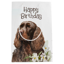 Birthday Chocolate Cocker Spaniel